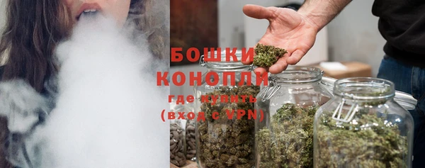 ешки Гусиноозёрск