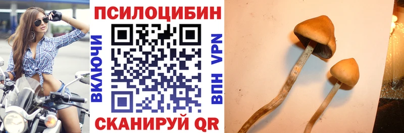 Псилоцибиновые грибы прущие грибы  Очёр 