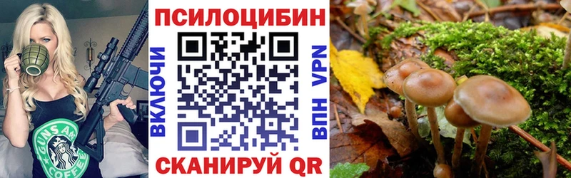 Галлюциногенные грибы Psilocybe Очёр
